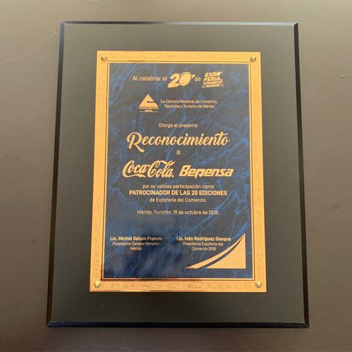 RECONOCIMIENTO DE MADERA PLACA METALICA