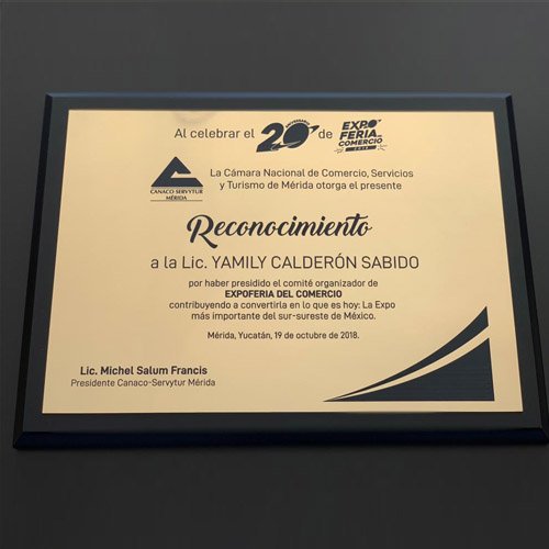 RECONOCIMIENTO DE MADERA PLACA METALICA