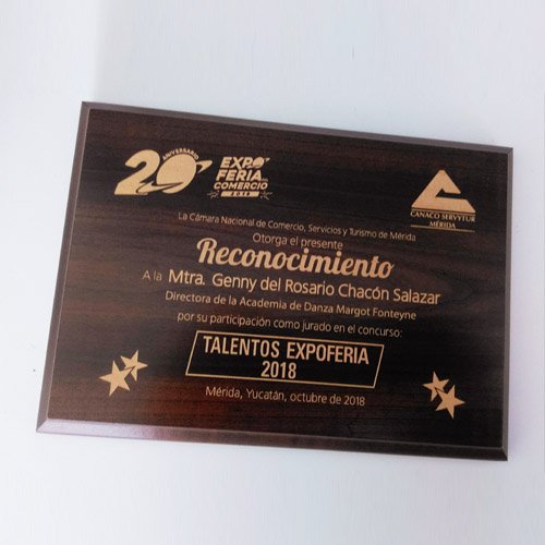 RECONOCIMIENTO DE MADERA