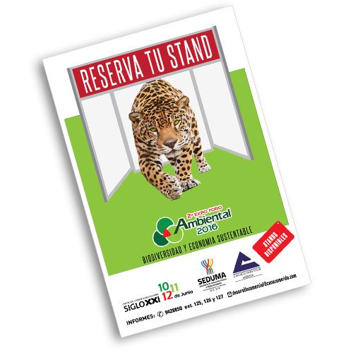POSTER TABLOIDE (CARTULINA OPALINA)