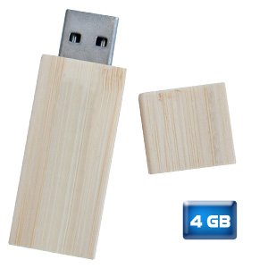 USB ECOLOGICA BAMBU 4GB