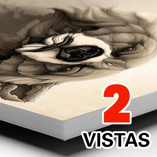 VINIL IMPRESO SOBRE TROVICEL 6mm